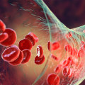 Understanding the Increased Risk of Blood Clots with HRT Therapy